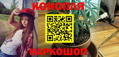 молекула духа Шебекино