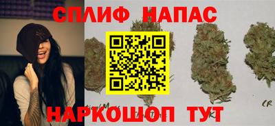 mdpv Шелехов