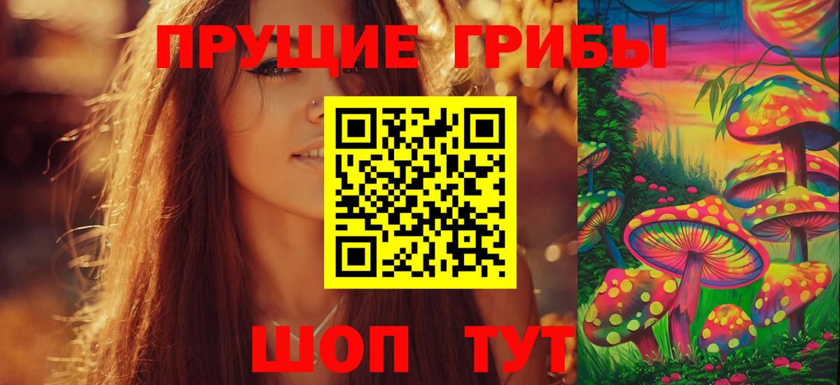 Сунжа  Галлюциногенные грибы прущие грибы  Вход с VPN  Псилоцибиновые грибы прущие грибы 